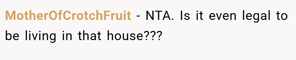 MotherOfCrotchFruit − NTA. Is it even legal to be living in that house???