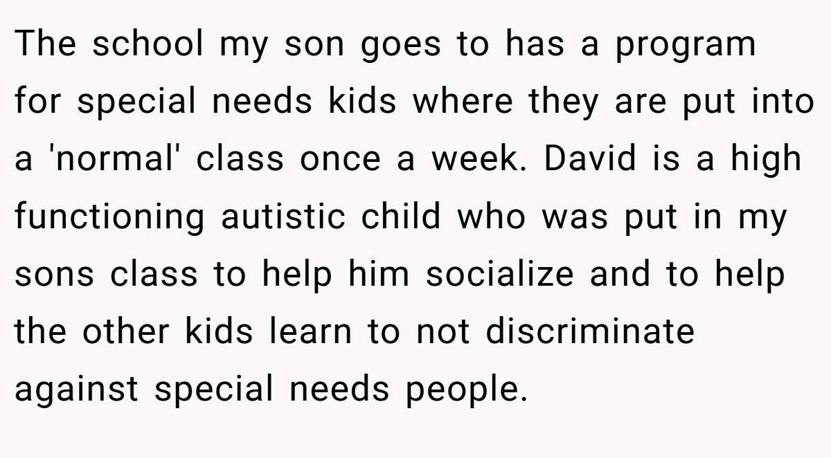The school my son goes to has a program for special needs kids where they are put into a 'normal' class once a week. David is a high functioning autistic child who was put in my sons class to help him socialize and to help the other kids learn to not discriminate against special needs people.