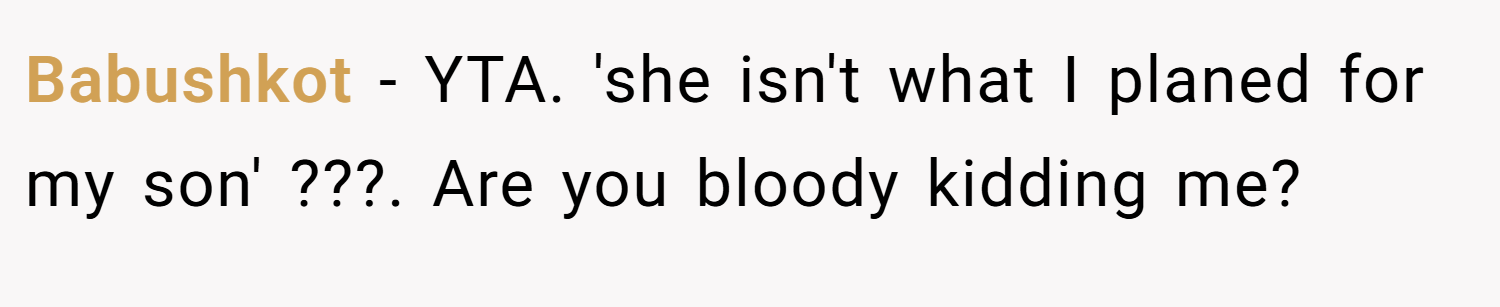 Babushkot − YTA. 'she isn't what I planed for my son' ???. Are you bloody kidding me?
