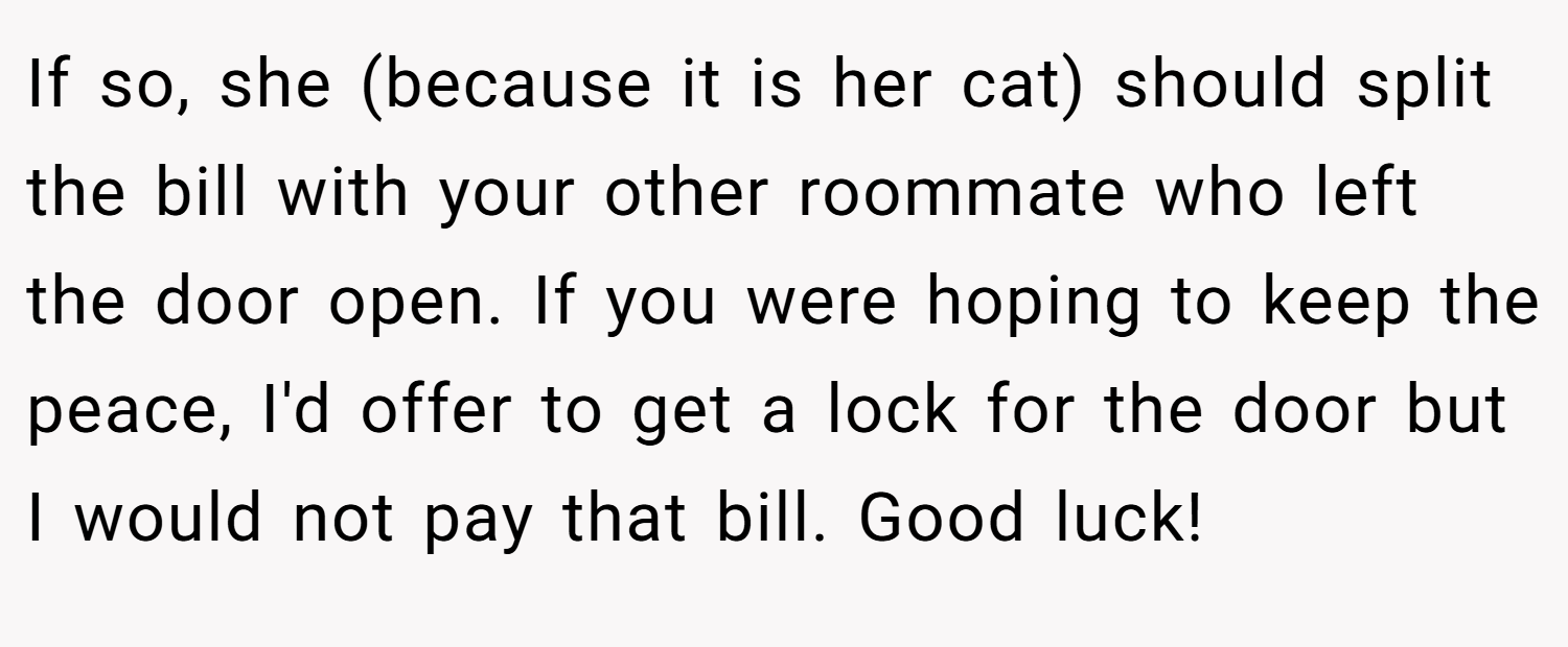 If so, she (because it is her cat) should split the bill with your other roommate who left the door open. If you were hoping to keep the peace, I'd offer to get a lock for the door but I would not pay that bill. Good luck!