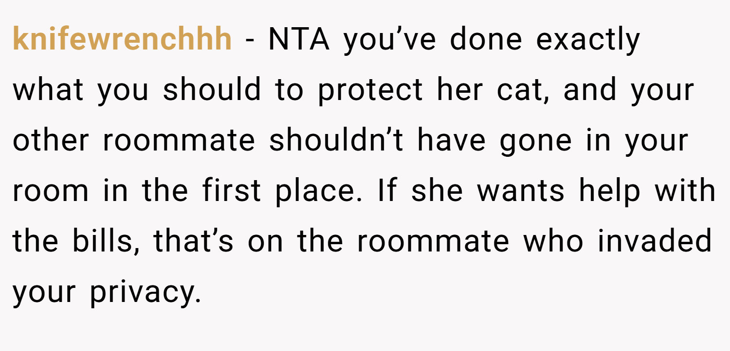 knifewrenchhh − NTA you’ve done exactly what you should to protect her cat, and your other roommate shouldn’t have gone in your room in the first place. If she wants help with the bills, that’s on the roommate who invaded your privacy.