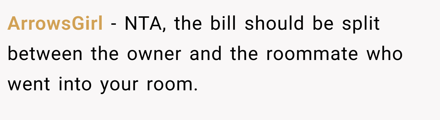 ArrowsGirl − NTA, the bill should be split between the owner and the roommate who went into your room.