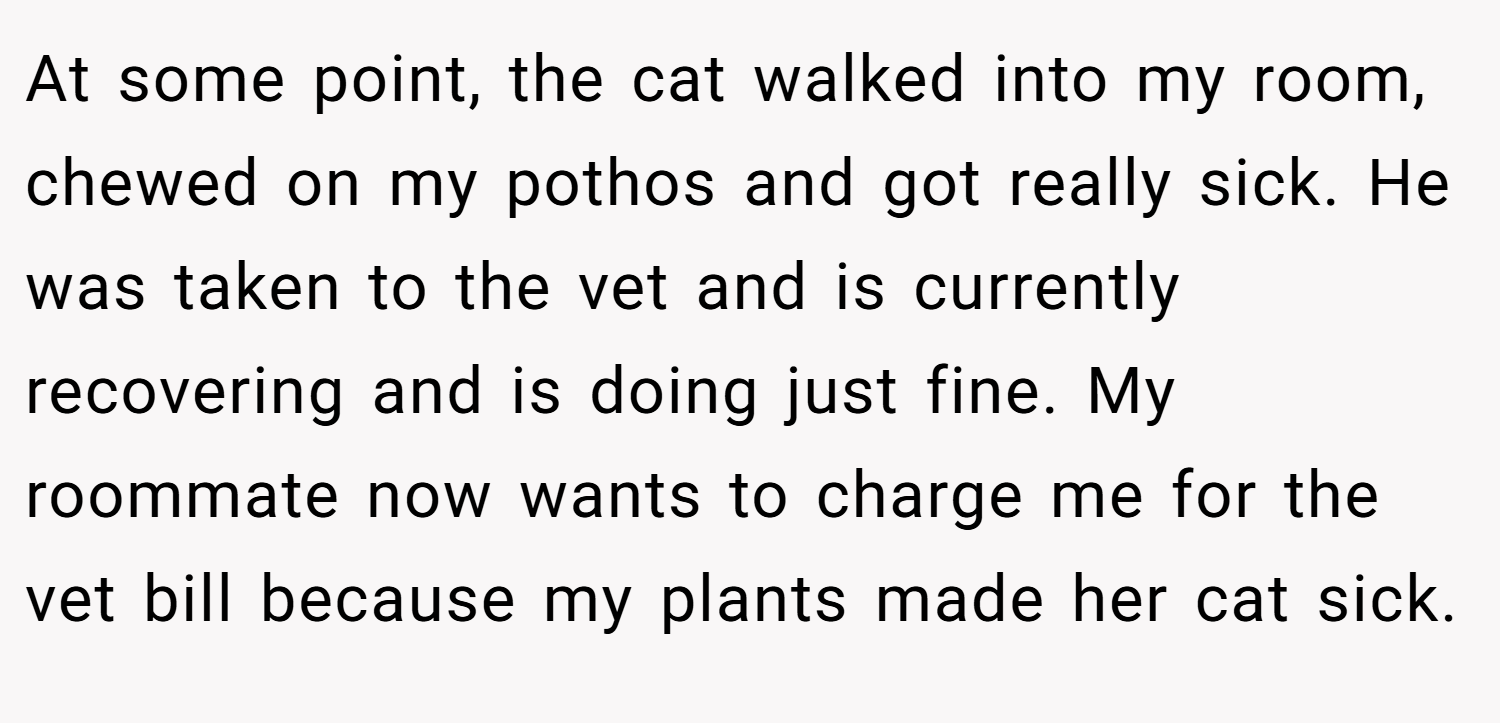 At some point, the cat walked into my room, chewed on my pothos and got really sick. He was taken to the vet and is currently recovering and is doing just fine. My roommate now wants to charge me for the vet bill because my plants made her cat sick.