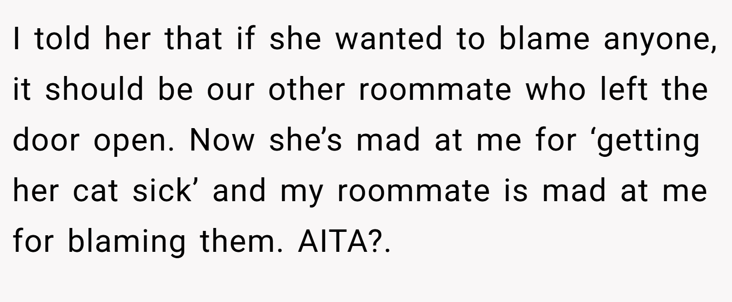 I told her that if she wanted to blame anyone, it should be our other roommate who left the door open. Now she’s mad at me for ‘getting her cat sick’ and my roommate is mad at me for blaming them. AITA?.
