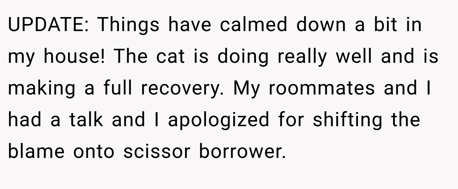 UPDATE: Things have calmed down a bit in my house! The cat is doing really well and is making a full recovery. My roommates and I had a talk and I apologized for shifting the blame onto scissor borrower.