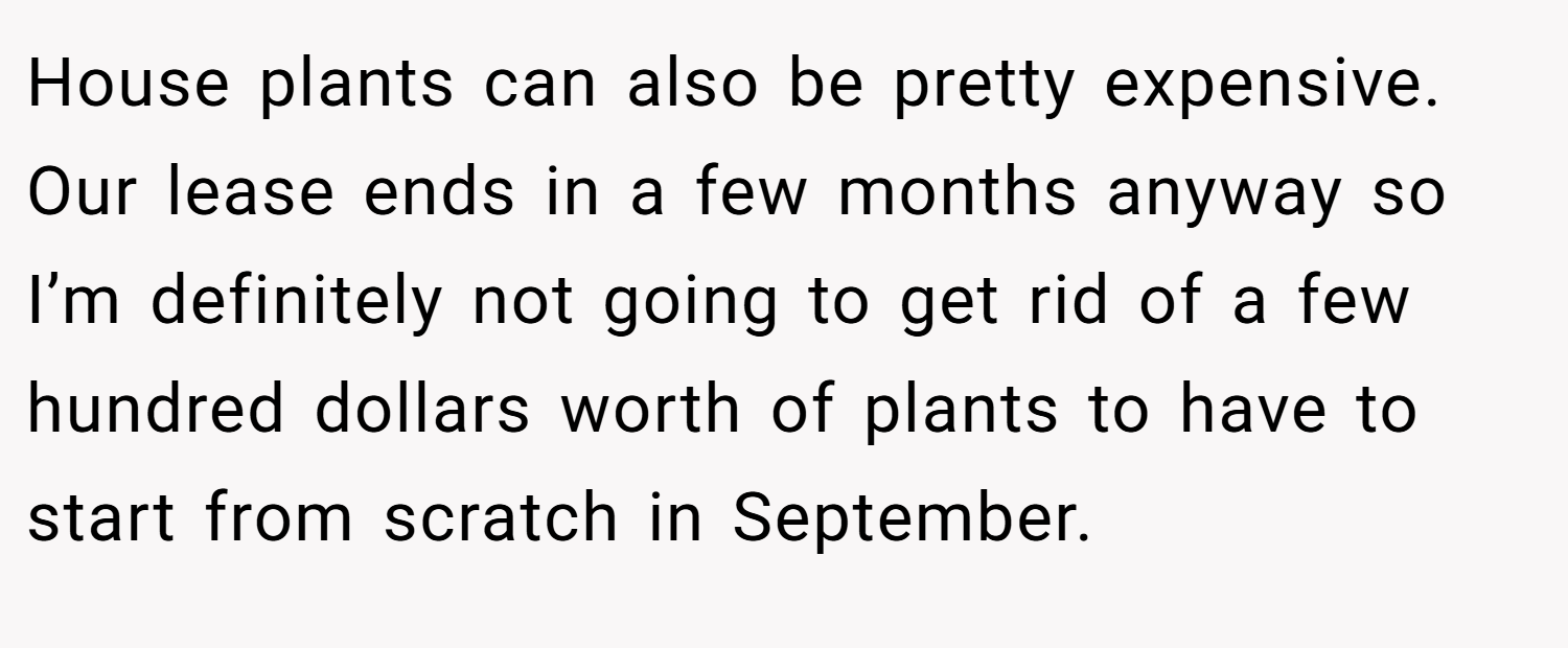 House plants can also be pretty expensive. Our lease ends in a few months anyway so I’m definitely not going to get rid of a few hundred dollars worth of plants to have to start from scratch in September.