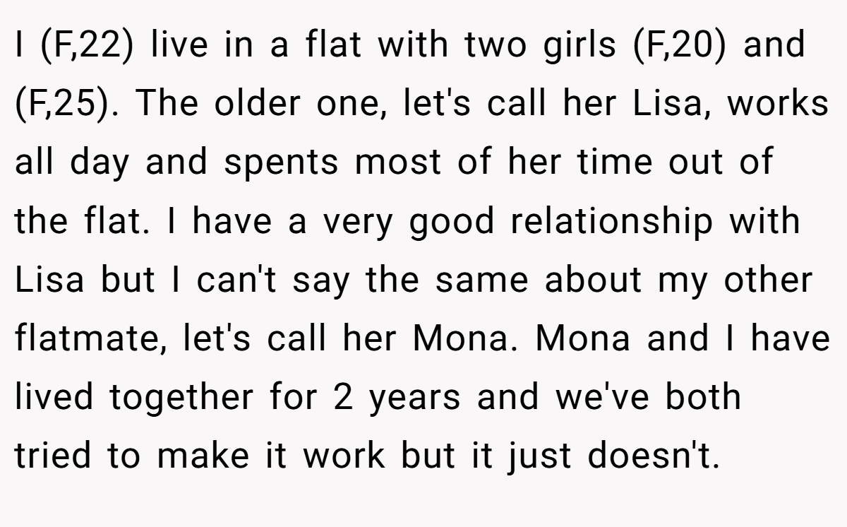 I (F,22) live in a flat with two girls (F,20) and (F,25). The older one, let's call her Lisa, works all day and spents most of her time out of the flat. I have a very good relationship with Lisa but I can't say the same about my other flatmate, let's call her Mona. Mona and I have lived together for 2 years and we've both tried to make it work but it just doesn't.