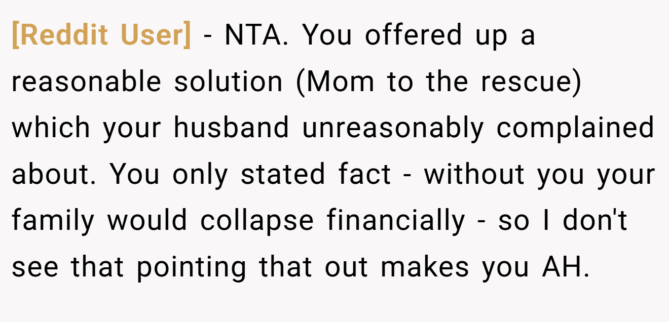 [Reddit User] − NTA. You offered up a reasonable solution (Mom to the rescue) which your husband unreasonably complained about. You only stated fact - without you your family would collapse financially - so I don't see that pointing that out makes you AH.
