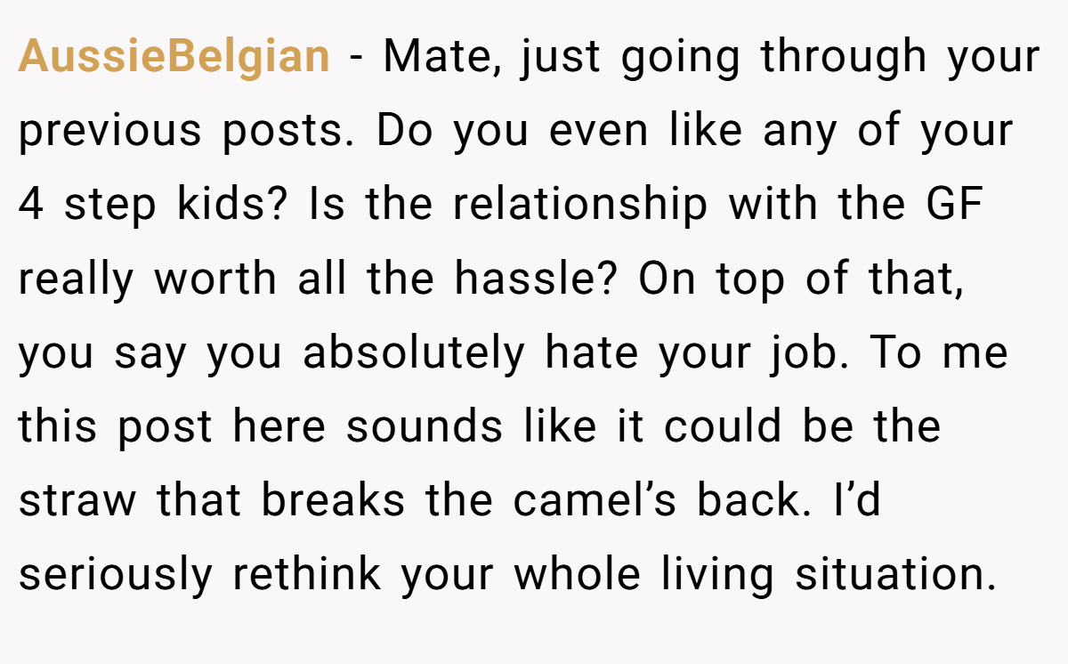 AussieBelgian - Mate, just going through your previous posts. Do you even like any of your 4 step kids? Is the relationship with the GF really worth all the hassle? On top of that, you say you absolutely hate your job. To me this post here sounds like it could be the straw that breaks the camel’s back. I’d seriously rethink your whole living situation.