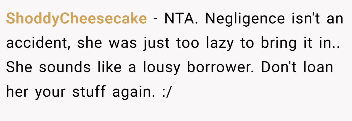 ShoddyCheesecake − NTA. Negligence isn't an accident, she was just too lazy to bring it in.. She sounds like a lousy borrower. Don't loan her your stuff again. :/