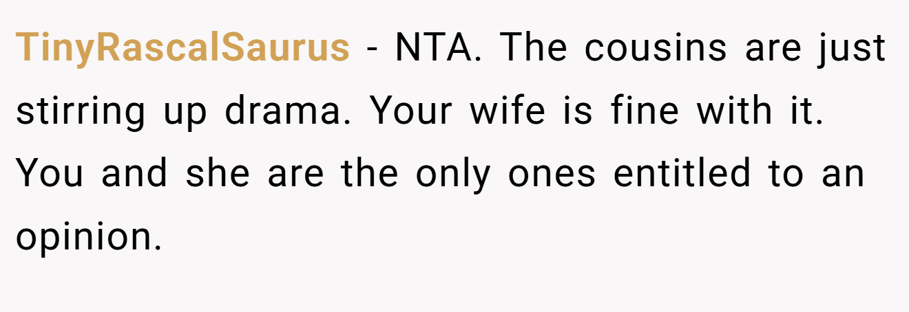 TinyRascalSaurus - NTA. The cousins are just stirring up drama. Your wife is fine with it. You and she are the only ones entitled to an opinion.