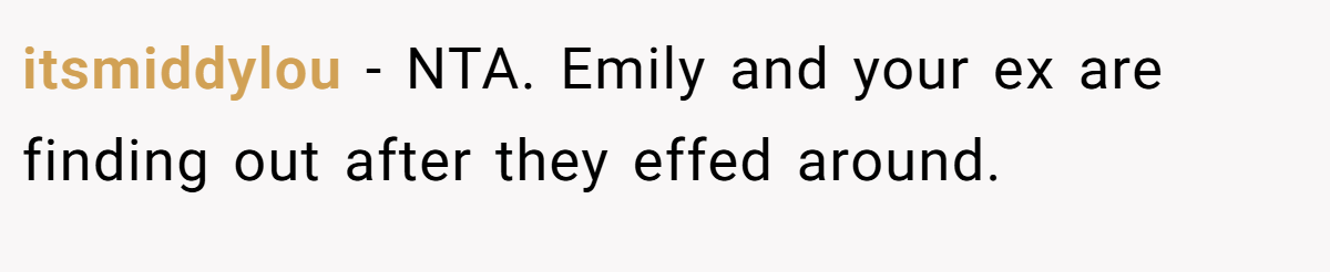 itsmiddylou − NTA. Emily and your ex are finding out after they effed around.
