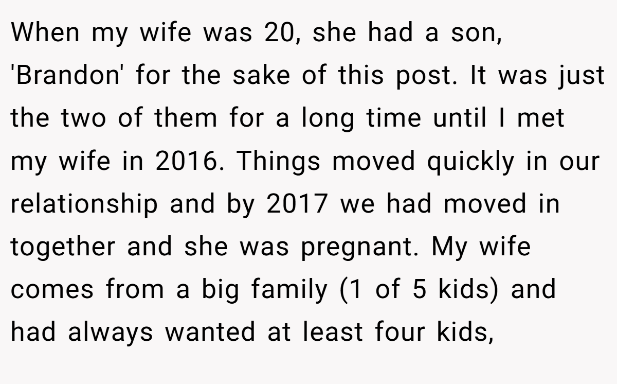 When my wife was 20, she had a son, 'Brandon' for the sake of this post. It was just the two of them for a long time until I met my wife in 2016. Things moved quickly in our relationship and by 2017 we had moved in together and she was pregnant. My wife comes from a big family (1 of 5 kids) and had always wanted at least four kids,
