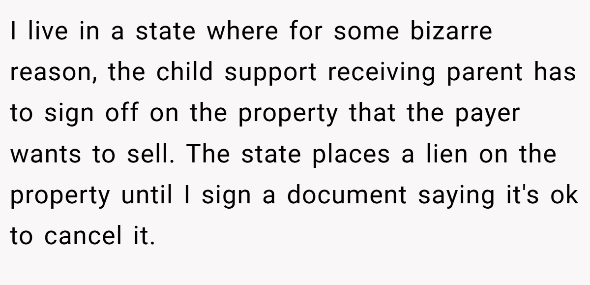 I live in a state where for some bizarre reason, the child support receiving parent has to sign off on the property that the payer wants to sell. The state places a lien on the property until I sign a document saying it's ok to cancel it.