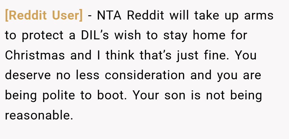 [Reddit User] − NTA Reddit will take up arms to protect a DIL’s wish to stay home for Christmas and I think that’s just fine. You deserve no less consideration and you are being polite to boot. Your son is not being reasonable.
