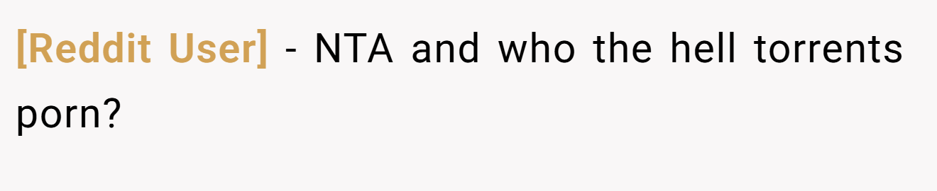 [Reddit User] - NTA and who the hell torrents porn?