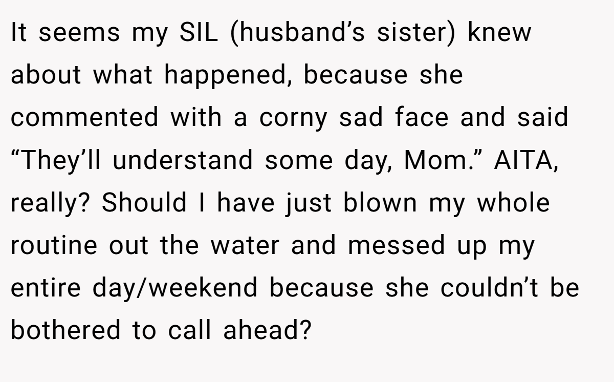 It seems my SIL (husband’s sister) knew about what happened, because she commented with a corny sad face and said “They’ll understand some day, Mom.” AITA, really? Should I have just blown my whole routine out the water and messed up my entire day/weekend because she couldn’t be bothered to call ahead?