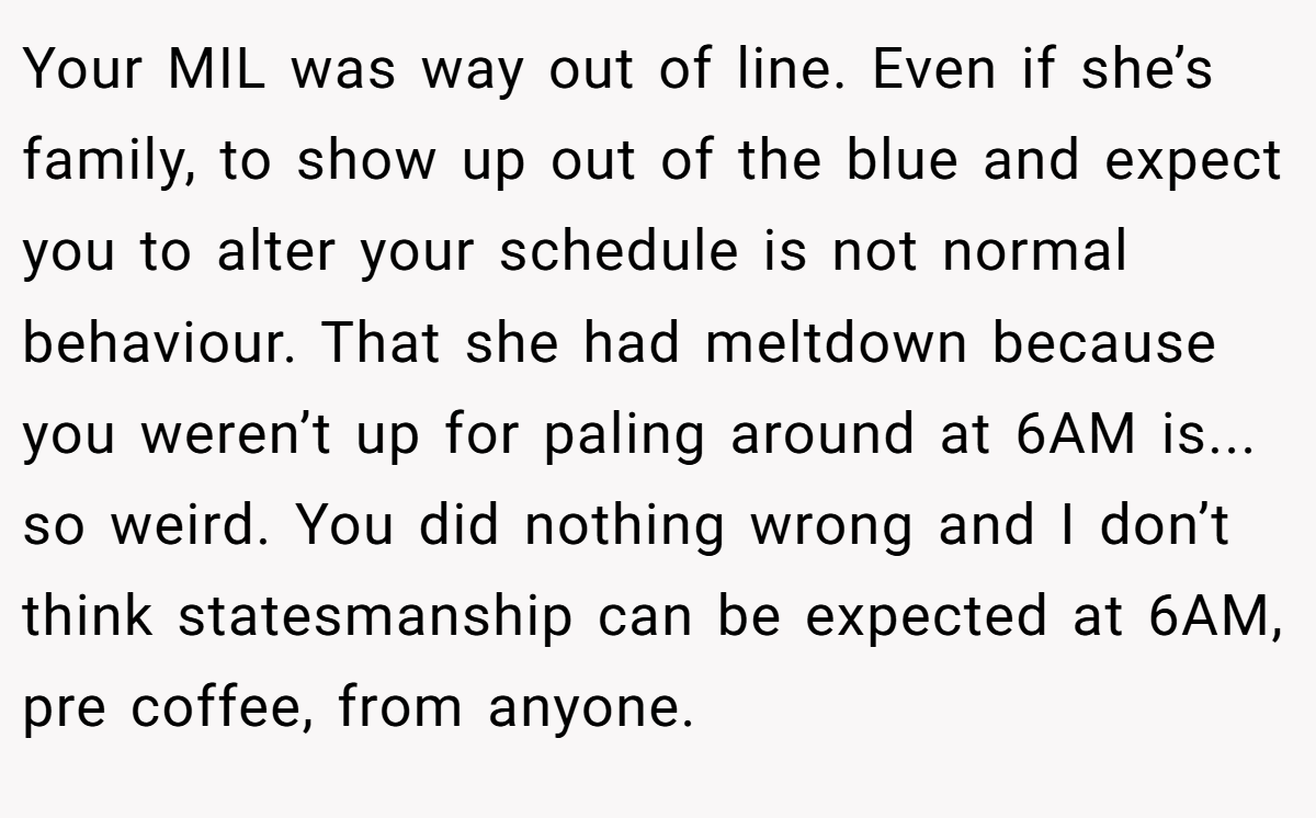 Your MIL was way out of line. Even if she’s family, to show up out of the blue and expect you to alter your schedule is not normal behaviour. That she had meltdown because you weren’t up for paling around at 6AM is... so weird. You did nothing wrong and I don’t think statesmanship can be expected at 6AM, pre coffee, from anyone.