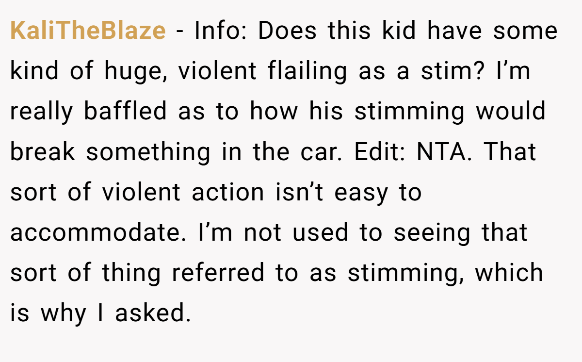 KaliTheBlaze − Info: Does this kid have some kind of huge, violent flailing as a stim? I’m really baffled as to how his stimming would break something in the car. Edit: NTA. That sort of violent action isn’t easy to accommodate. I’m not used to seeing that sort of thing referred to as stimming, which is why I asked.