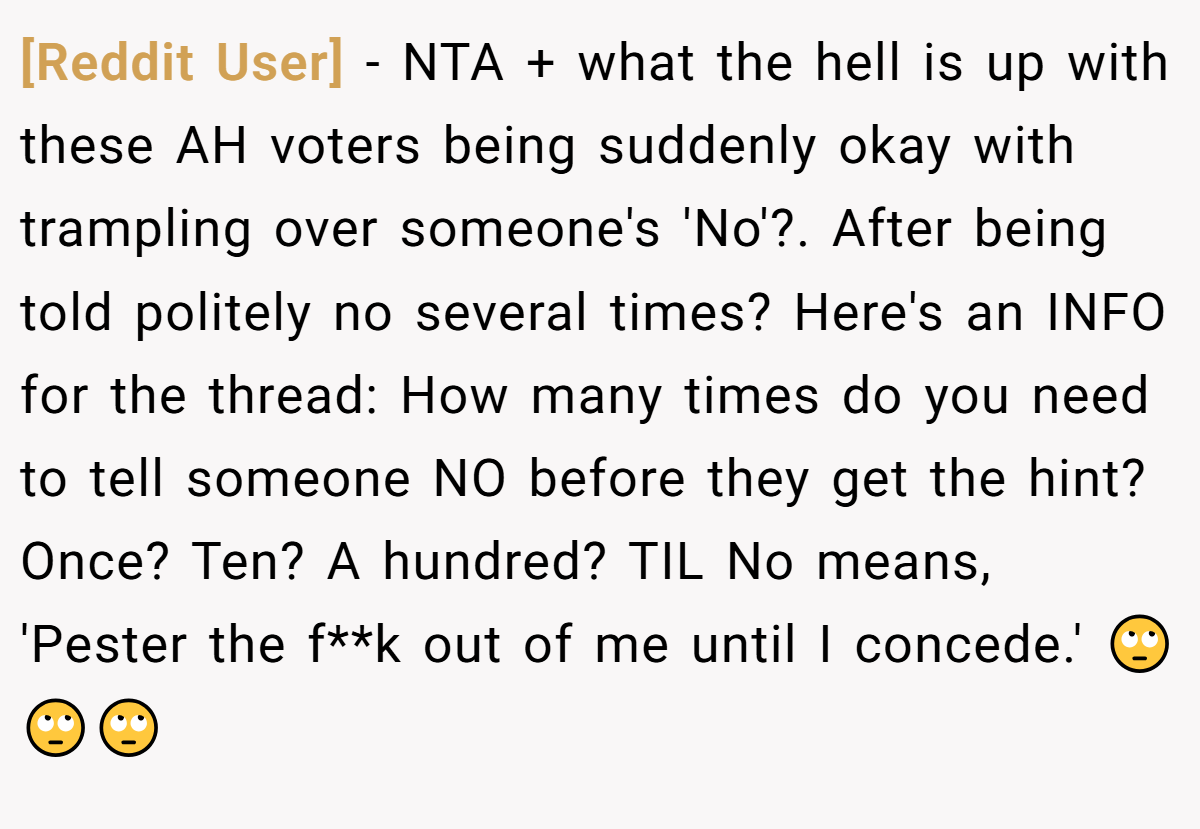 [Reddit User] − NTA + what the hell is up with these AH voters being suddenly okay with trampling over someone's 'No'?. After being told politely no several times? Here's an INFO for the thread: How many times do you need to tell someone NO before they get the hint? Once? Ten? A hundred? TIL No means, 'Pester the f**k out of me until I concede.' 🙄🙄🙄