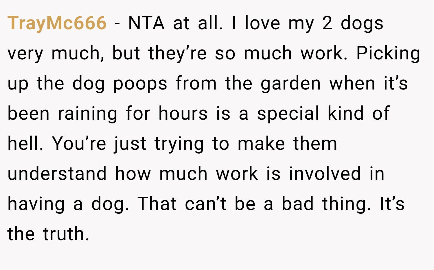 TrayMc666 − NTA at all. I love my 2 dogs very much, but they’re so much work. Picking up the dog poops from the garden when it’s been raining for hours is a special kind of hell. You’re just trying to make them understand how much work is involved in having a dog. That can’t be a bad thing. It’s the truth.