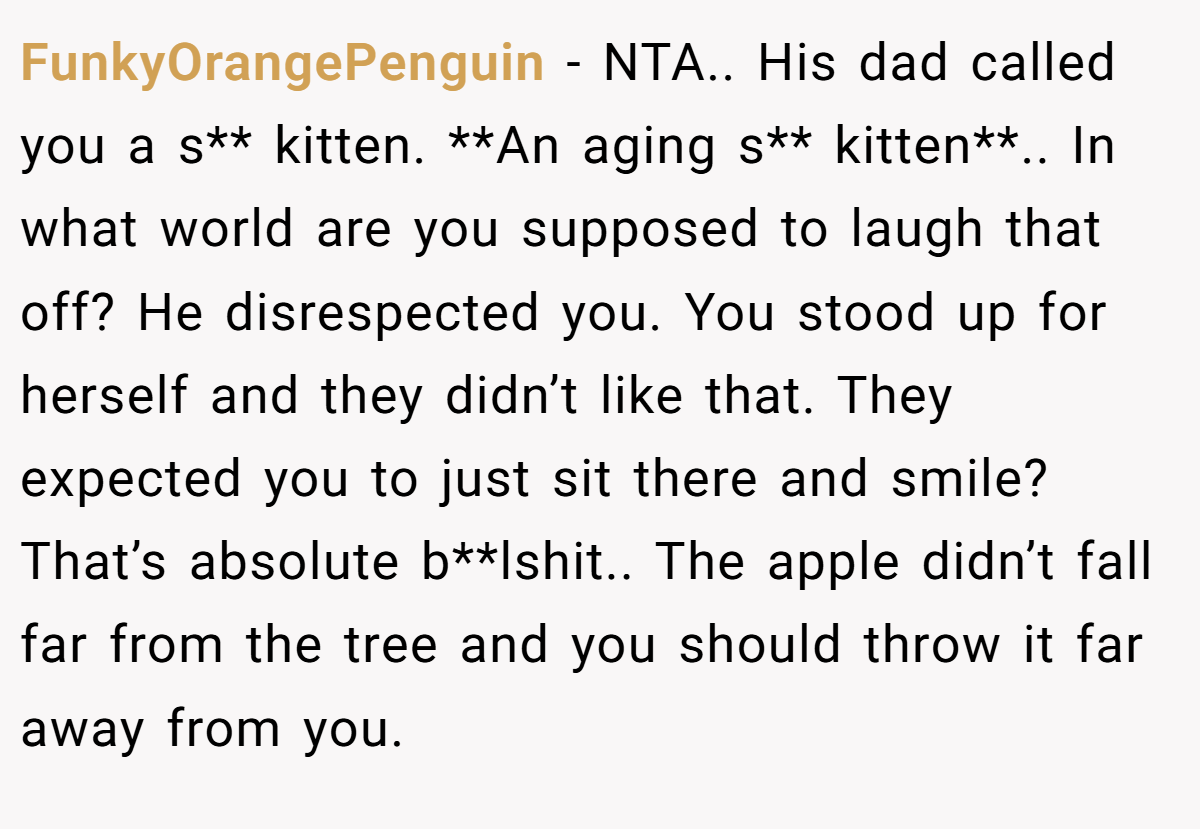 FunkyOrangePenguin − NTA.. His dad called you a s** kitten. **An aging s** kitten**.. In what world are you supposed to laugh that off? He disrespected you. You stood up for herself and they didn’t like that. They expected you to just sit there and smile? That’s absolute b**lshit.. The apple didn’t fall far from the tree and you should throw it far away from you.