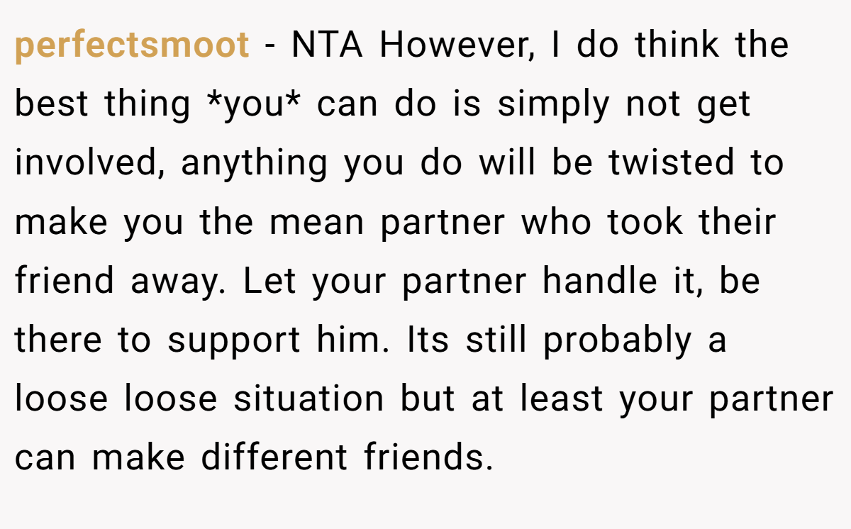 perfectsmoot − NTA However, I do think the best thing *you* can do is simply not get involved, anything you do will be twisted to make you the mean partner who took their friend away. Let your partner handle it, be there to support him. Its still probably a loose loose situation but at least your partner can make different friends.
