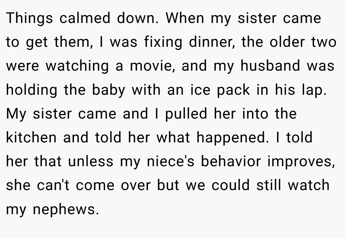 Things calmed down. When my sister came to get them, I was fixing dinner, the older two were watching a movie, and my husband was holding the baby with an ice pack in his lap. My sister came and I pulled her into the kitchen and told her what happened. I told her that unless my niece's behavior improves, she can't come over but we could still watch my nephews.