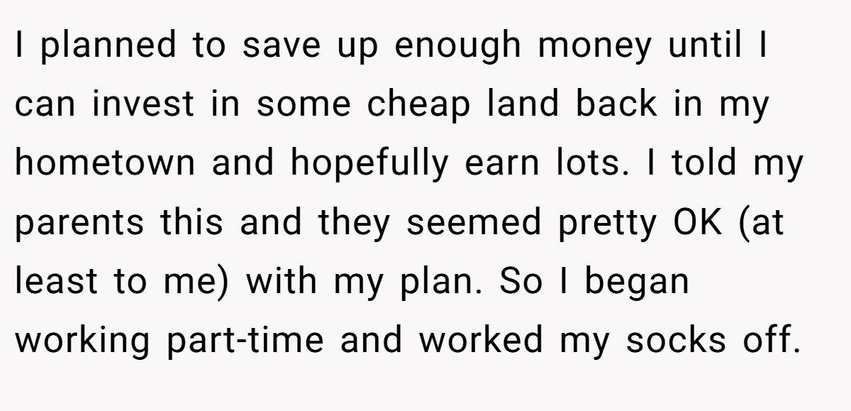 I planned to save up enough money until I can invest in some cheap land back in my hometown and hopefully earn lots. I told my parents this and they seemed pretty OK (at least to me) with my plan. So I began working part-time and worked my socks off.