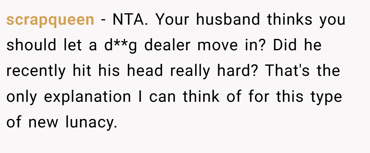 scrapqueen − NTA. Your husband thinks you should let a d**g dealer move in? Did he recently hit his head really hard? That's the only explanation I can think of for this type of new lunacy.