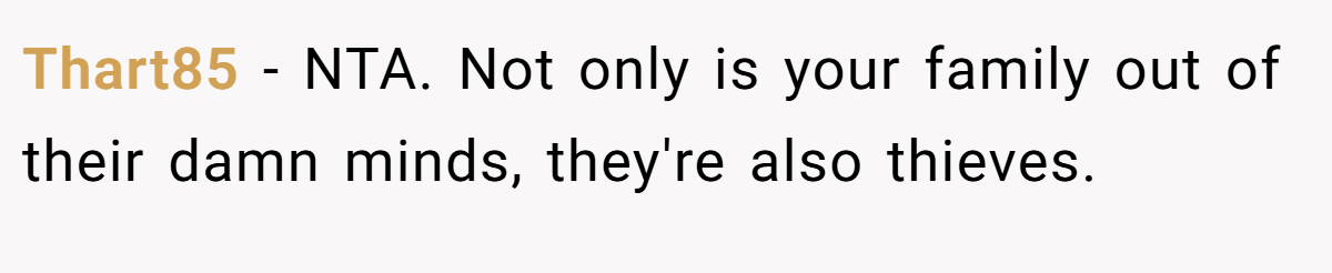 Thart85 − NTA. Not only is your family out of their damn minds, they're also thieves.