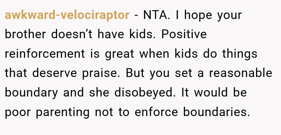 awkward-velociraptor − NTA. I hope your brother doesn’t have kids. Positive reinforcement is great when kids do things that deserve praise. But you set a reasonable boundary and she disobeyed. It would be poor parenting not to enforce boundaries.