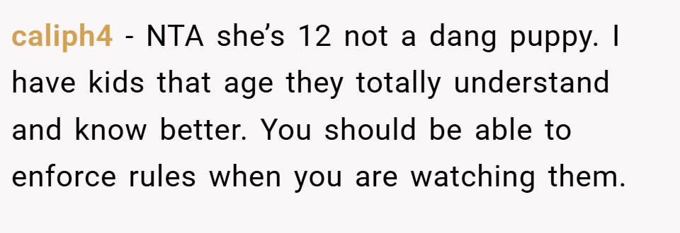caliph4 − NTA she’s 12 not a dang puppy. I have kids that age they totally understand and know better. You should be able to enforce rules when you are watching them.