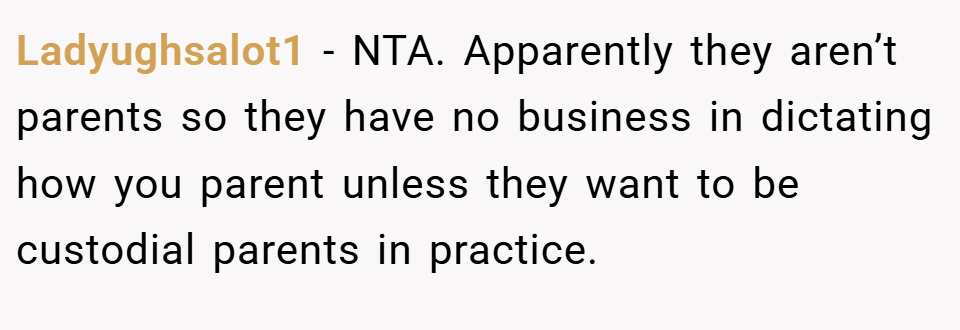 Ladyughsalot1 − NTA. Apparently they aren’t parents so they have no business in dictating how you parent unless they want to be custodial parents in practice.