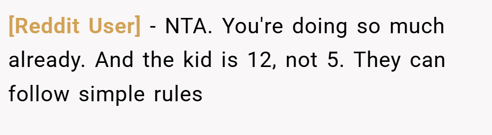 [Reddit User] − NTA. You're doing so much already. And the kid is 12, not 5. They can follow simple rules