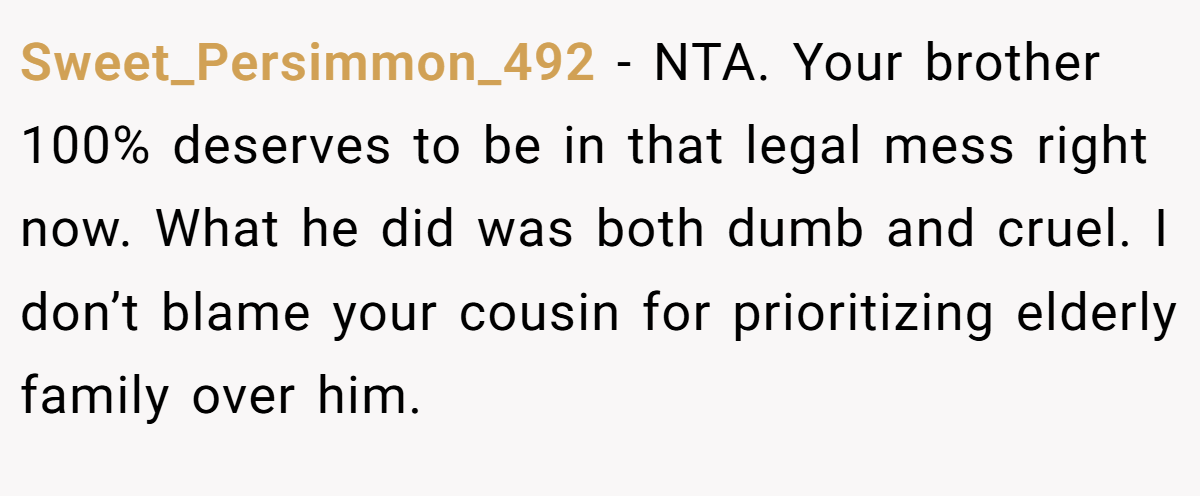 Sweet_Persimmon_492 - NTA. Your brother 100% deserves to be in that legal mess right now. What he did was both dumb and cruel. I don’t blame your cousin for prioritizing elderly family over him.