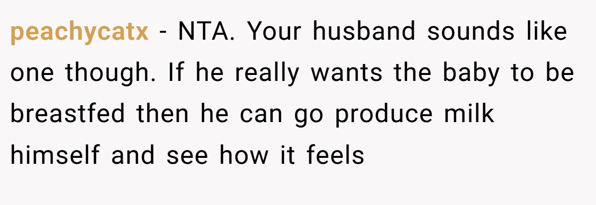 peachycatx − NTA. Your husband sounds like one though. If he really wants the baby to be breastfed then he can go produce milk himself and see how it feels