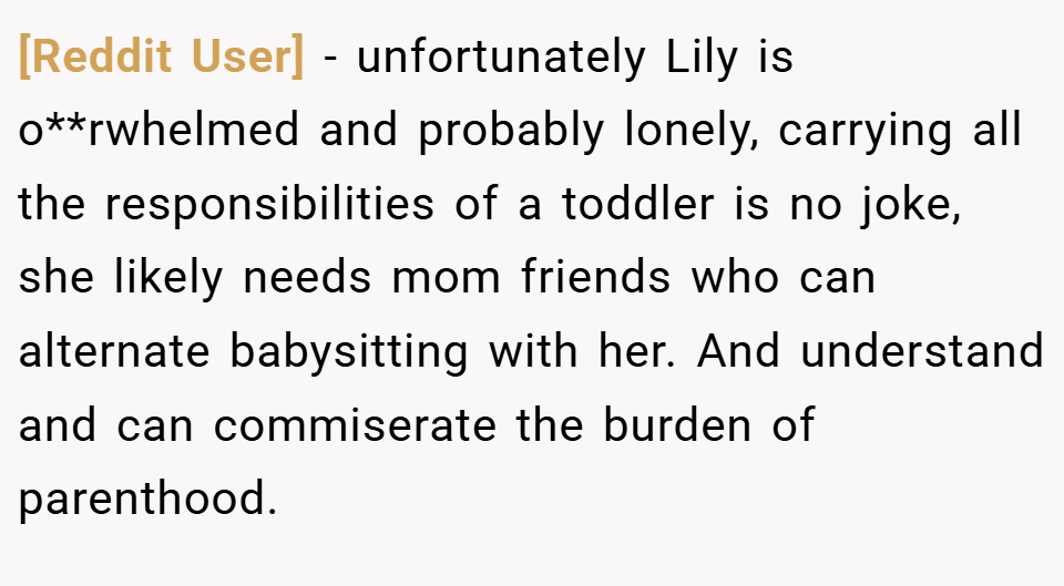 [Reddit User] − unfortunately Lily is o**rwhelmed and probably lonely, carrying all the responsibilities of a toddler is no joke, she likely needs mom friends who can alternate babysitting with her. And understand and can commiserate the burden of parenthood.