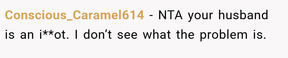 Conscious_Caramel614 − NTA your husband is an i**ot. I don’t see what the problem is.