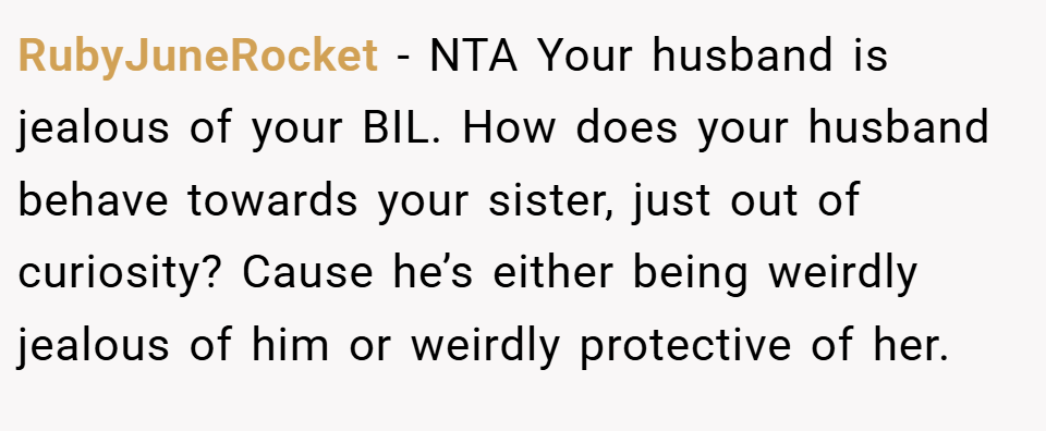 RubyJuneRocket − NTA Your husband is jealous of your BIL. How does your husband behave towards your sister, just out of curiosity? Cause he’s either being weirdly jealous of him or weirdly protective of her.