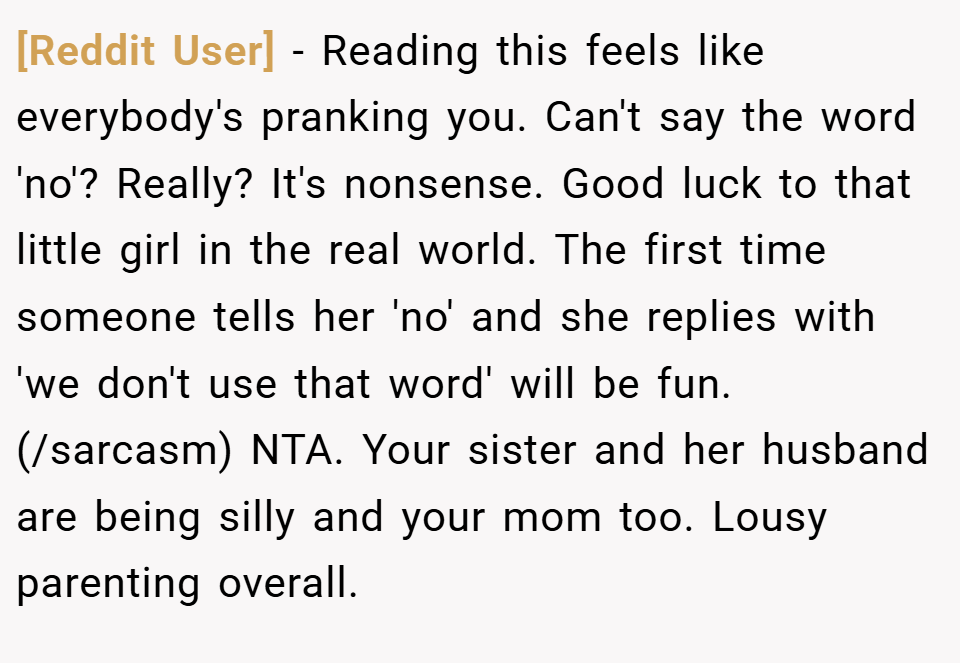 [Reddit User] − Reading this feels like everybody's pranking you. Can't say the word 'no'? Really? It's nonsense. Good luck to that little girl in the real world. The first time someone tells her 'no' and she replies with 'we don't use that word' will be fun. (/sarcasm) NTA. Your sister and her husband are being silly and your mom too. Lousy parenting overall.