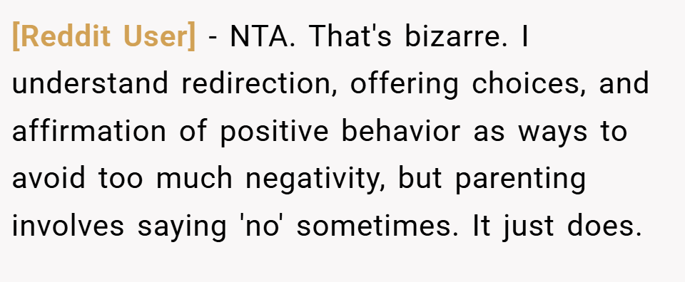 [Reddit User] − NTA. That's bizarre. I understand redirection, offering choices, and affirmation of positive behavior as ways to avoid too much negativity, but parenting involves saying 'no' sometimes. It just does.