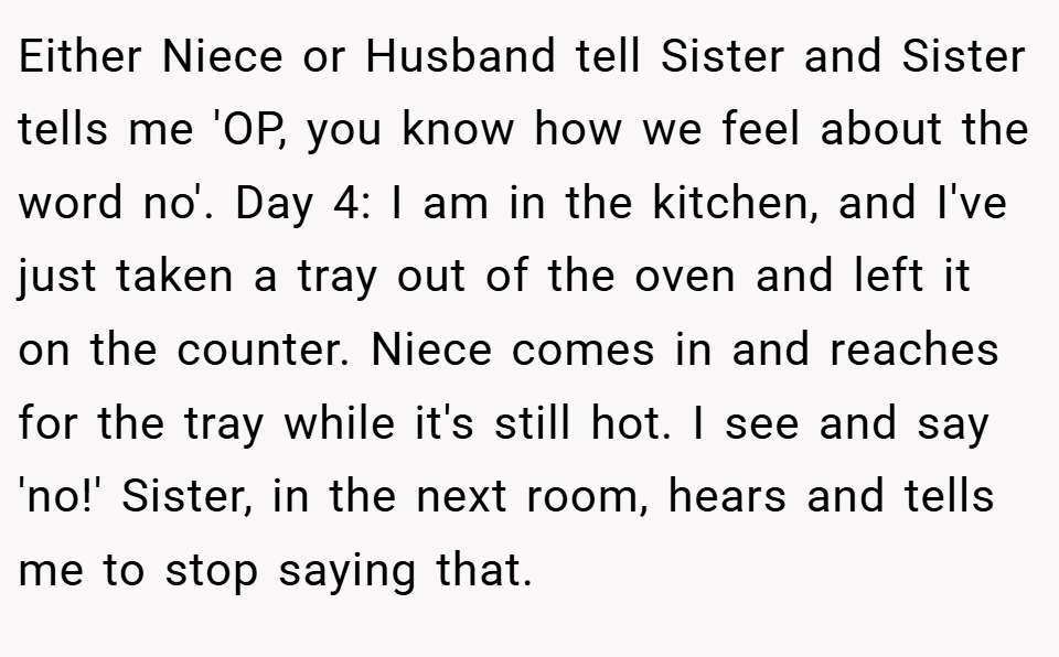 Either Niece or Husband tell Sister and Sister tells me 'OP, you know how we feel about the word no'. Day 4: I am in the kitchen, and I've just taken a tray out of the oven and left it on the counter. Niece comes in and reaches for the tray while it's still hot. I see and say 'no!' Sister, in the next room, hears and tells me to stop saying that.