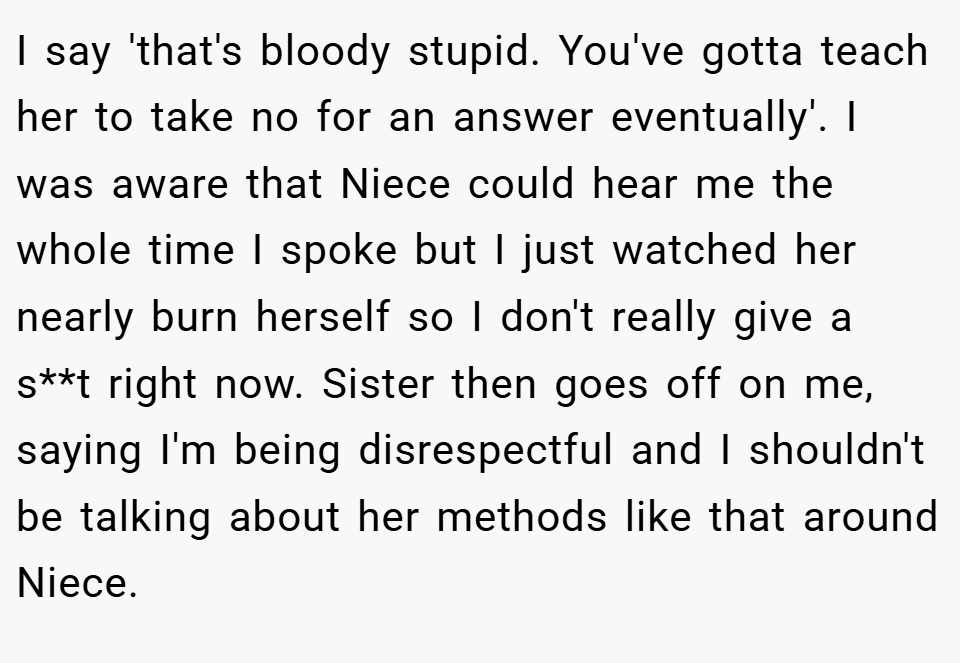 I say 'that's bloody stupid. You've gotta teach her to take no for an answer eventually'. I was aware that Niece could hear me the whole time I spoke but I just watched her nearly burn herself so I don't really give a s**t right now. Sister then goes off on me, saying I'm being disrespectful and I shouldn't be talking about her methods like that around Niece.