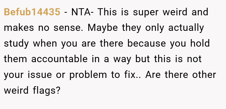 Befub14435 − NTA- This is super weird and makes no sense. Maybe they only actually study when you are there because you hold them accountable in a way but this is not your issue or problem to fix.. Are there other weird flags?