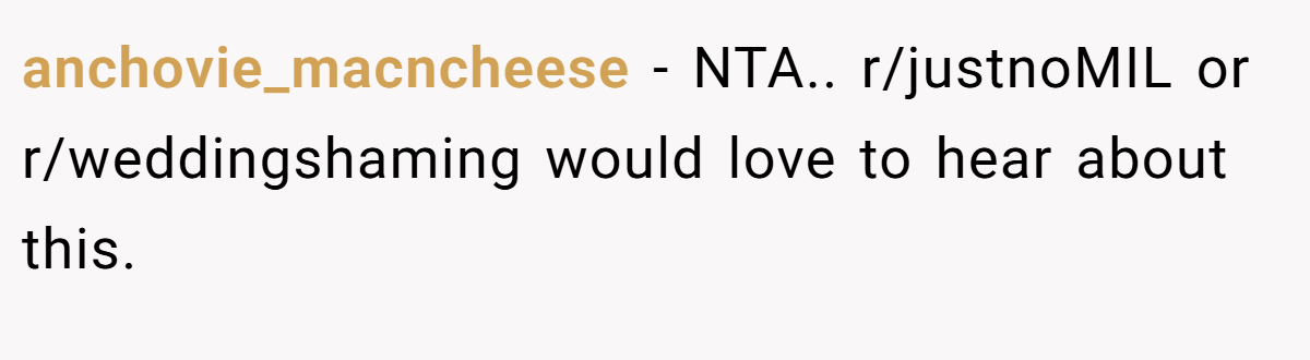 anchovie_macncheese − NTA.. r/justnoMIL or r/weddingshaming would love to hear about this.