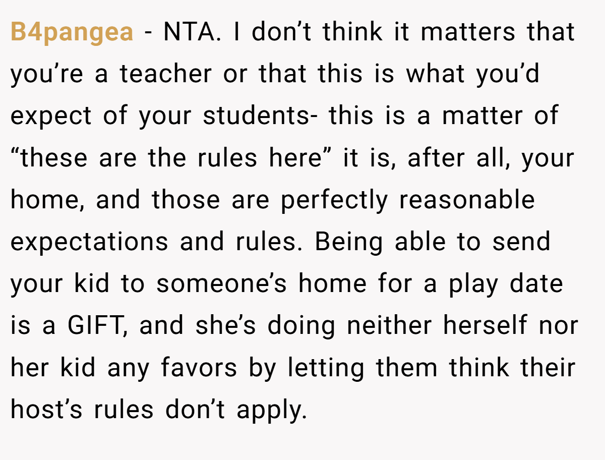 B4pangea - NTA. I don’t think it matters that you’re a teacher or that this is what you’d expect of your students- this is a matter of “these are the rules here” it is, after all, your home, and those are perfectly reasonable expectations and rules. Being able to send your kid to someone’s home for a play date is a GIFT, and she’s doing neither herself nor her kid any favors by letting them think their host’s rules don’t apply.