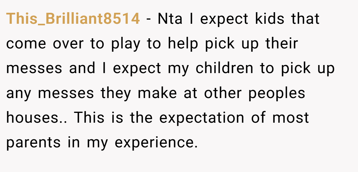 This_Brilliant8514 - Nta I expect kids that come over to play to help pick up their messes and I expect my children to pick up any messes they make at other peoples houses.. This is the expectation of most parents in my experience.