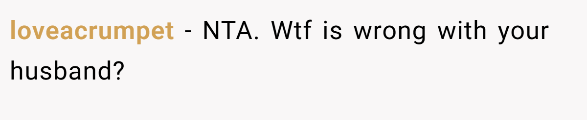 loveacrumpet - NTA. Wtf is wrong with your husband?