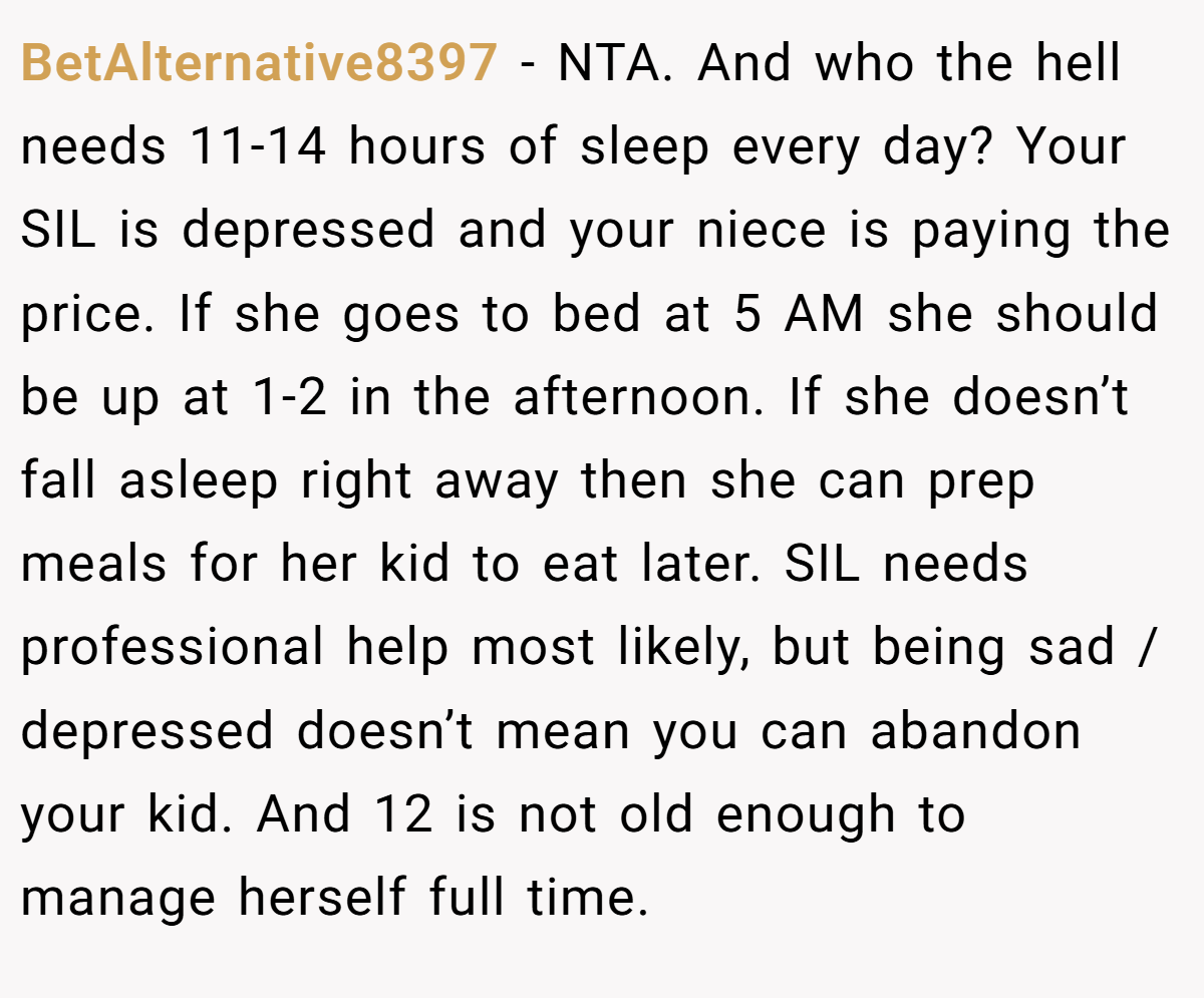 BetAlternative8397 − NTA. And who the hell needs 11-14 hours of sleep every day? Your SIL is depressed and your niece is paying the price. If she goes to bed at 5 AM she should be up at 1-2 in the afternoon. If she doesn’t fall asleep right away then she can prep meals for her kid to eat later. SIL needs professional help most likely, but being sad / depressed doesn’t mean you can abandon your kid. And 12 is not old enough to manage herself full time.